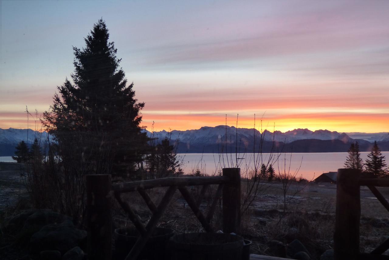 Juneberry Lodge Хоумър Екстериор снимка