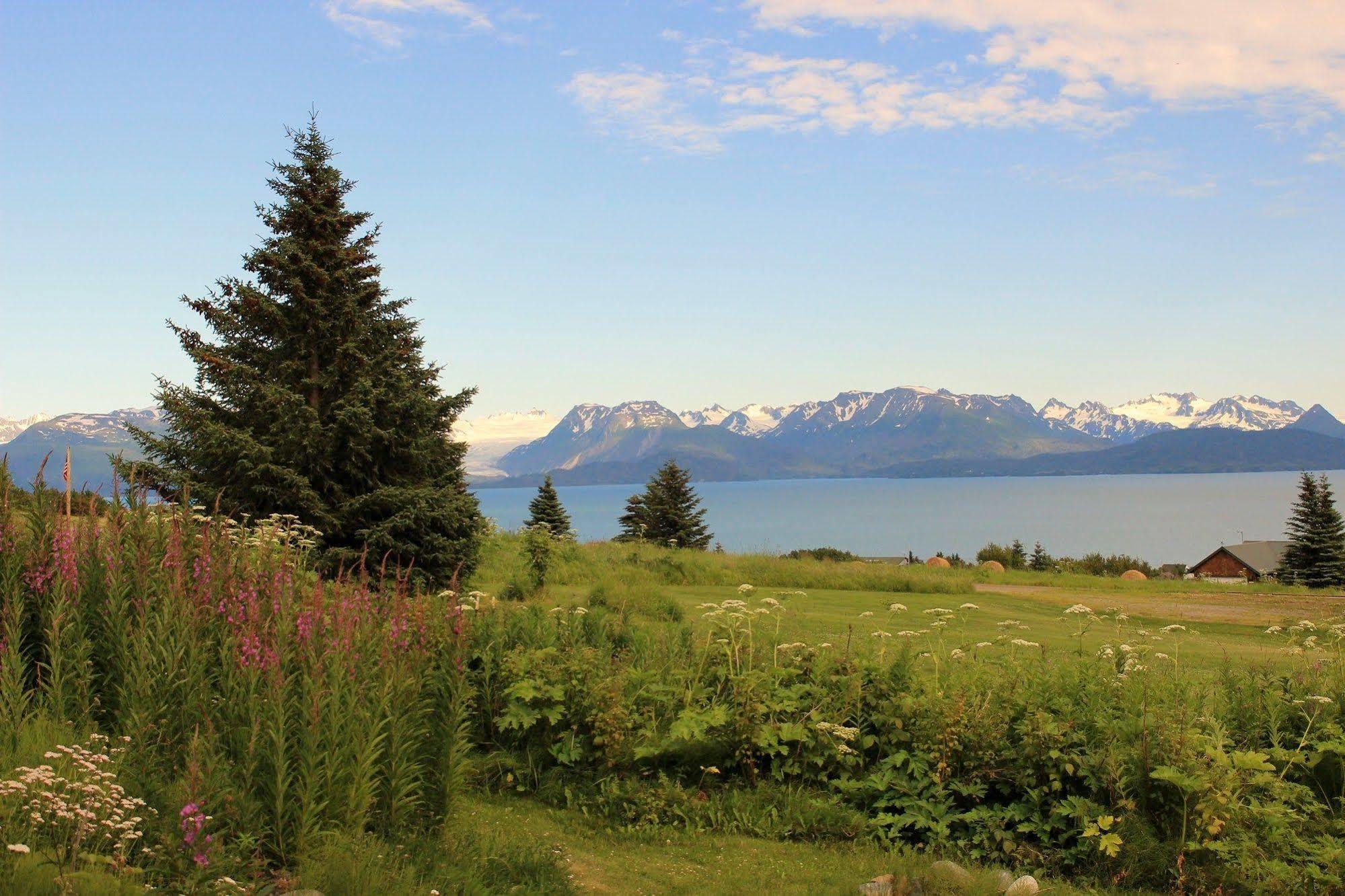 Juneberry Lodge Хоумър Екстериор снимка